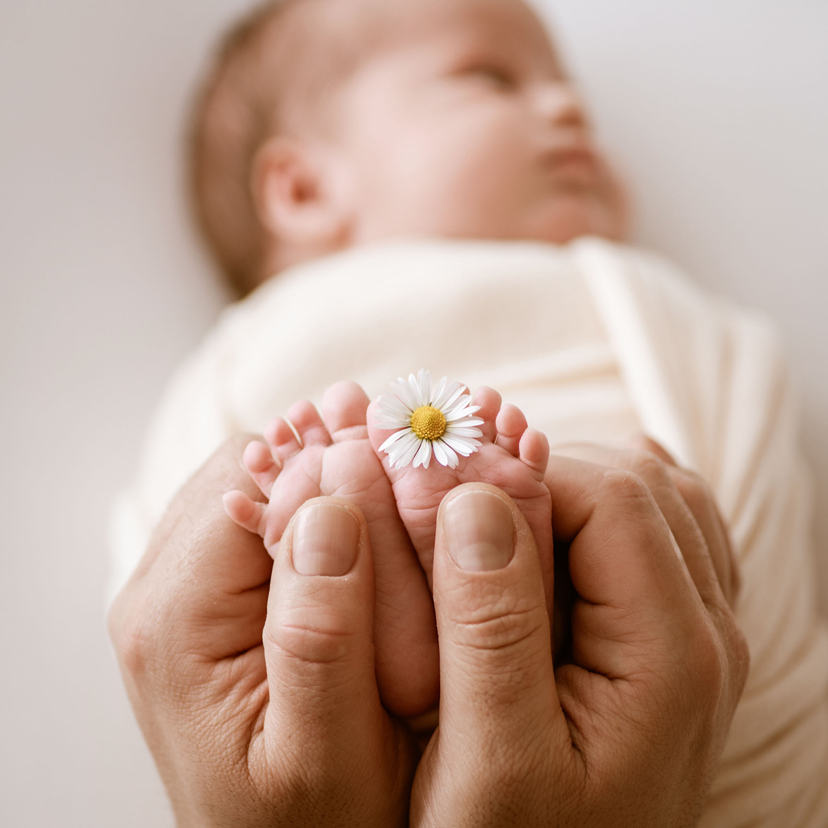Erwachsene Hände halten die kleinen Babyfüße, zwischen denen eine Gänseblume liegt, während das Baby im Hintergrund liegt.